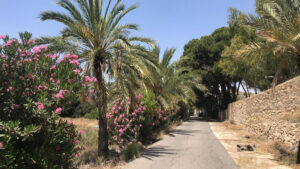 jardines-club-cultural-brass-academy-alicante